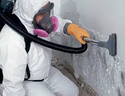 Environmental Consulting for Mold Prevention in Medford, WI